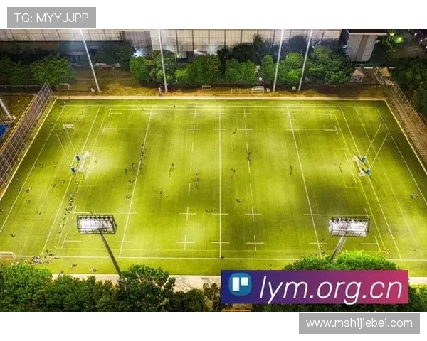 世界杯直播观看最新指南,轻松掌握多平台在线观看技巧 世界杯直播观看最新指南,轻松掌握多平台在线观看技巧