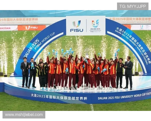 历届世界杯冠军与四强球队的演变过程，展现足球竞技的激烈与精彩